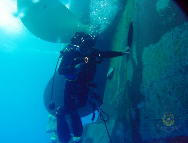 Underwater surveys and inspections